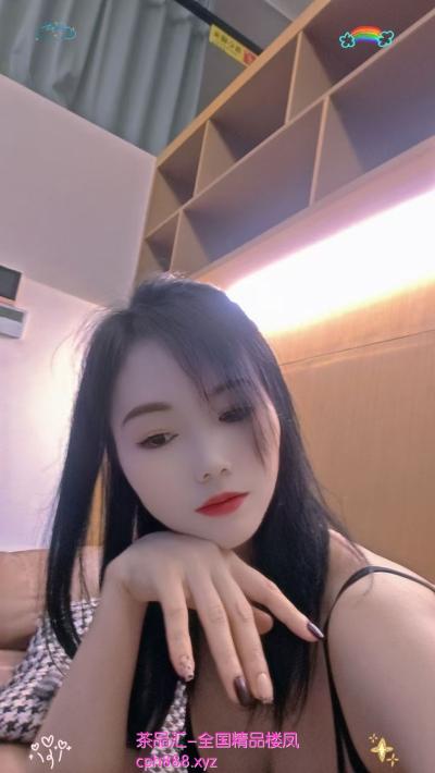 白云嘉禾~小猫咪