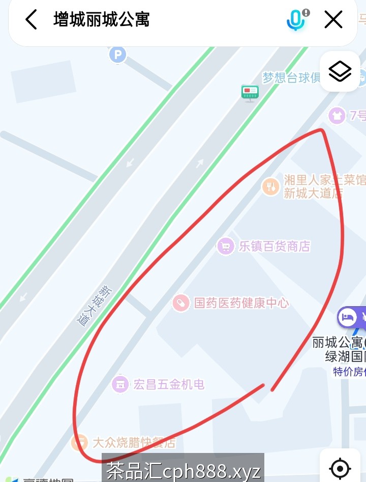 精彩照片